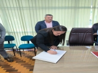 Miniatura da imagem